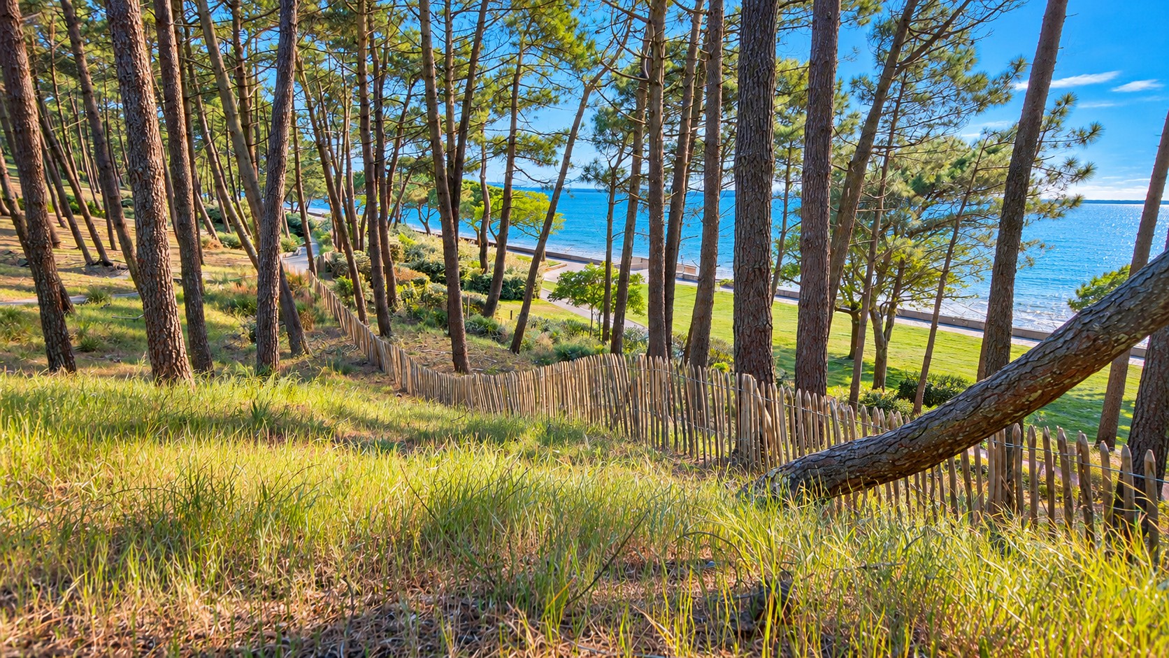 ARCACHON PEREIRE